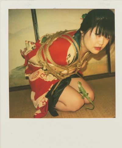 Senza Titolo (bondage)