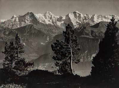 Senza Titolo (alpi)