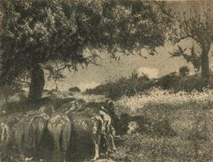 Meriggio in Sardegna