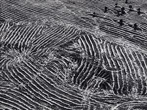 Presa di coscienza sulla natura