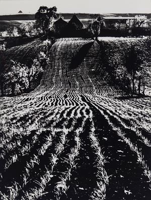 Presa di coscienza sulla natura