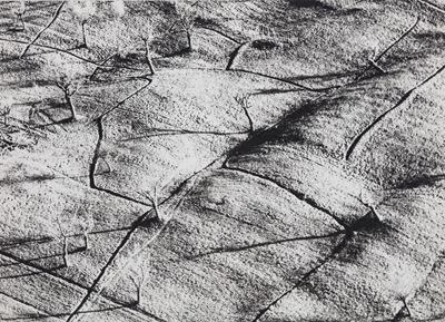 Presa di Coscienza sulla Natura