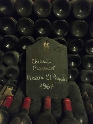 Il Poggio Castello di Monsanto