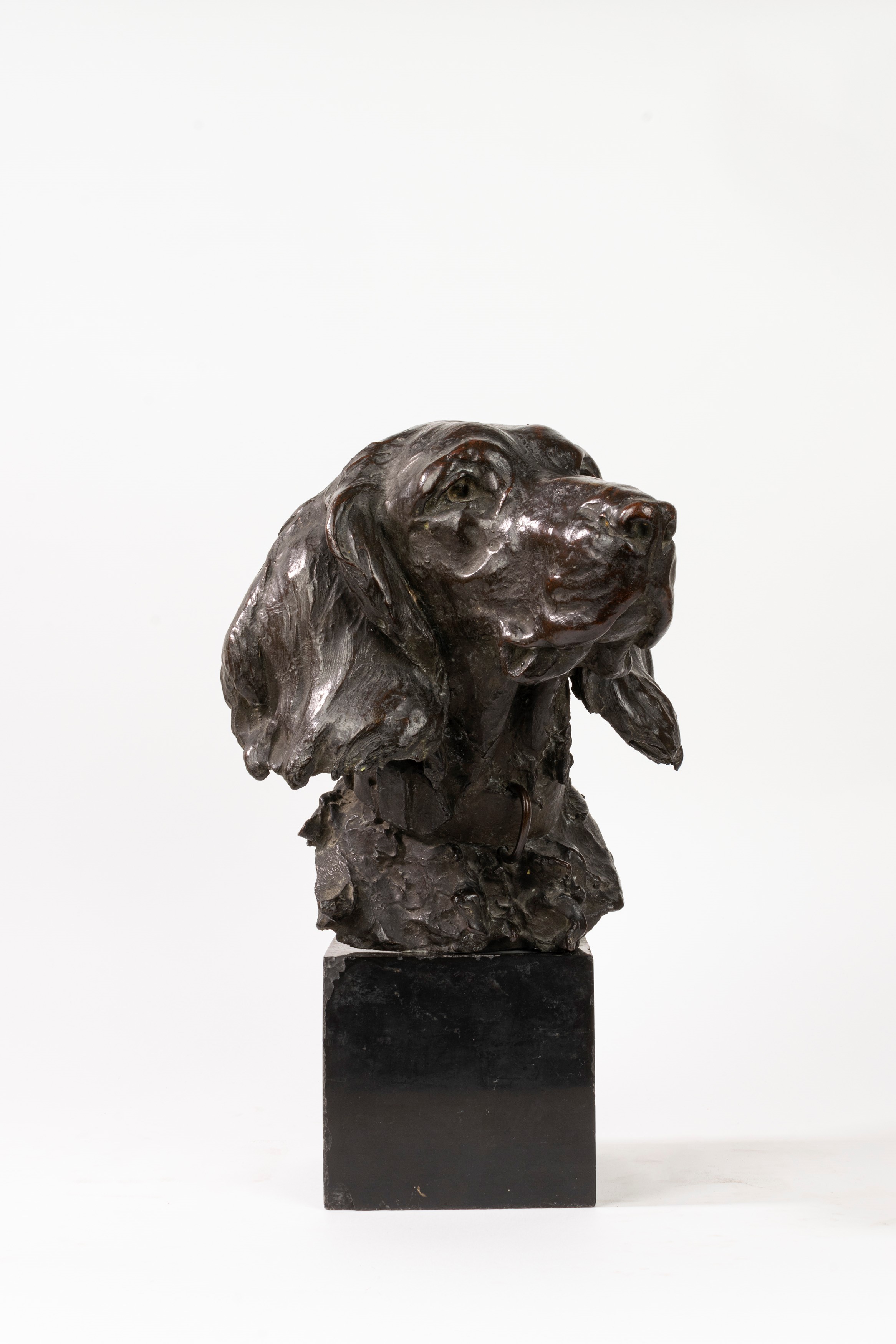 Alessandro Laforet - Testa di Segugio in Bronzo