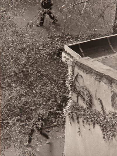 Promenade, New York, Stampa moderna alla gelatina ai sali d'argento, 1962