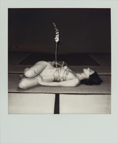 Autore sconosciuto, Tenshiko - Polaroid