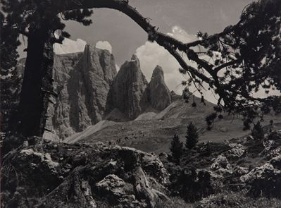 Cortina