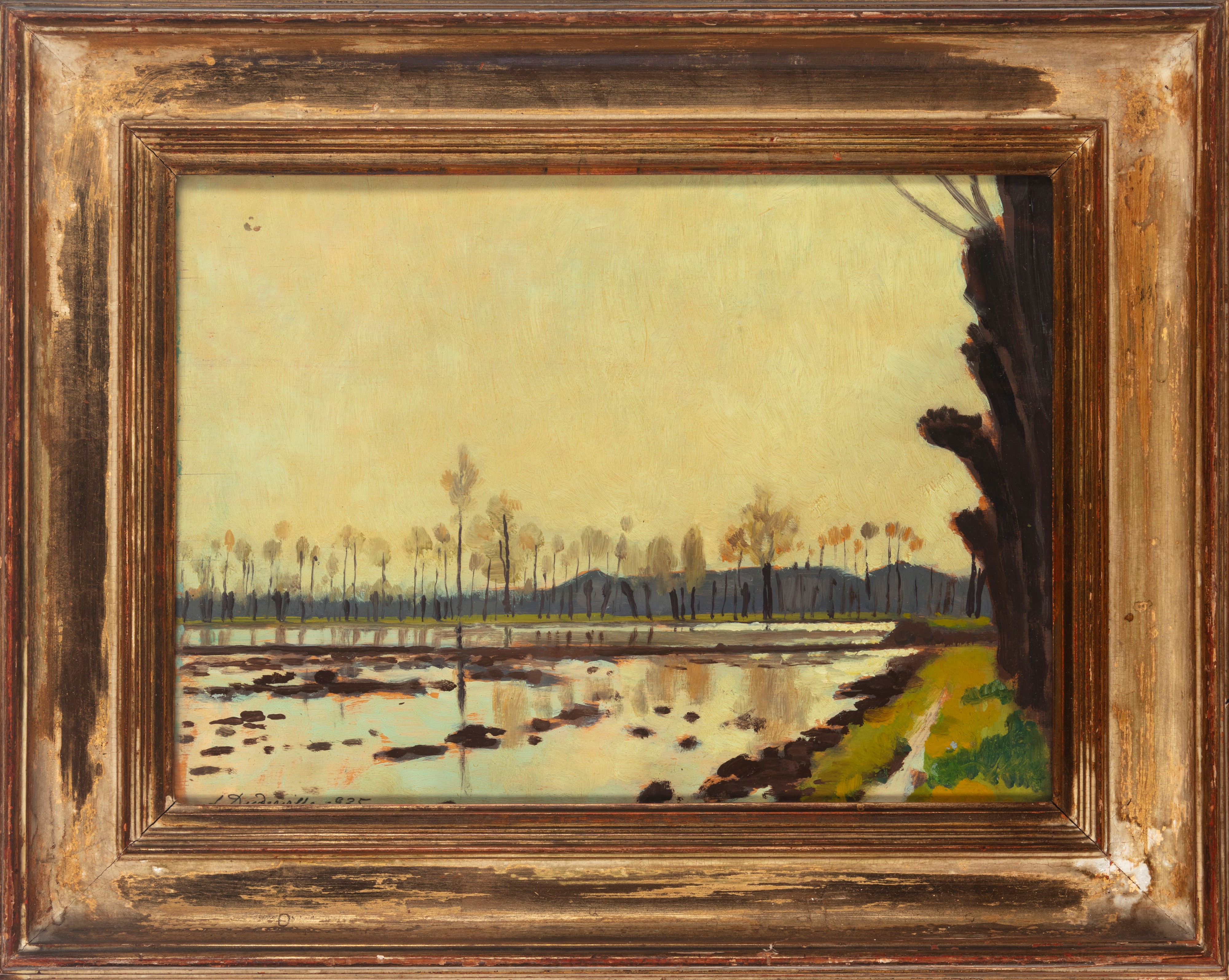 Leonardo Dudreville - Risaia Sott'acqua