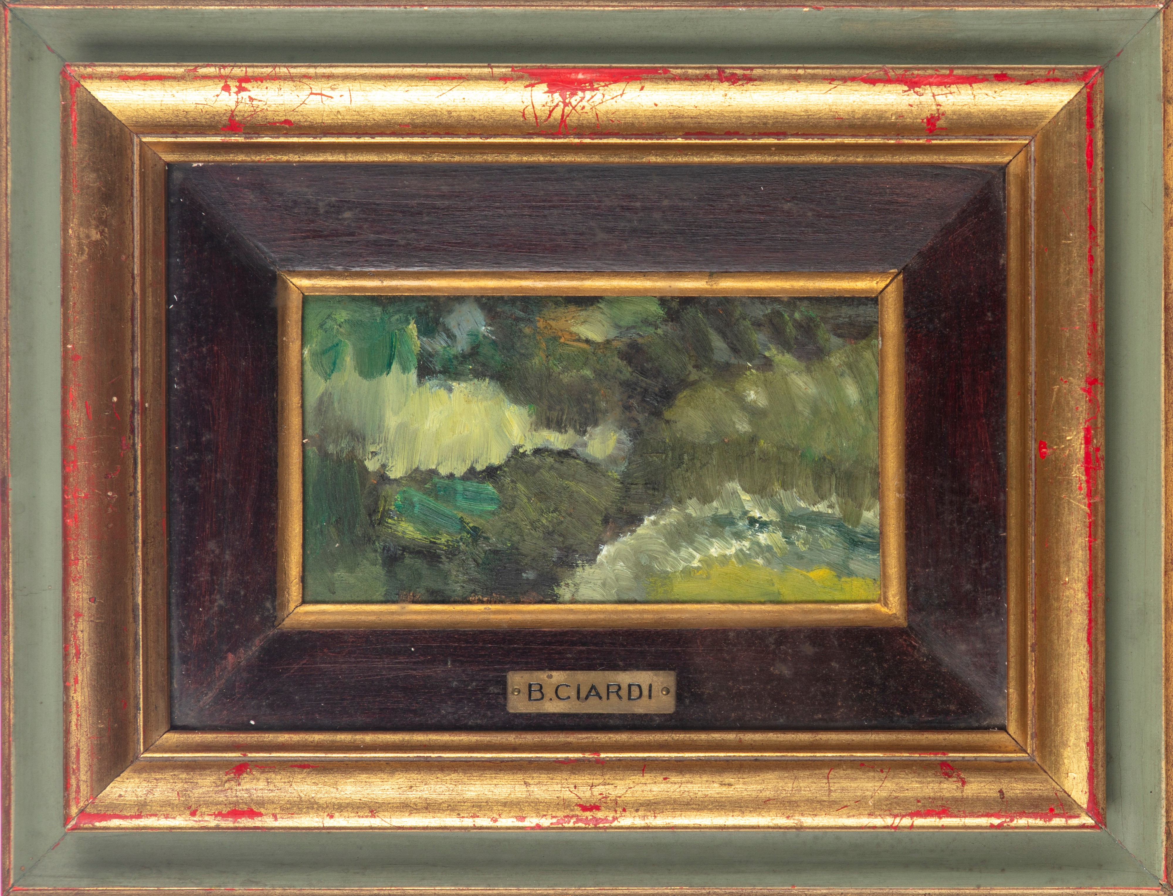 Attribuito a Beppe Ciardi (venezia 1875-treviso 1932) - Paesaggio Montano