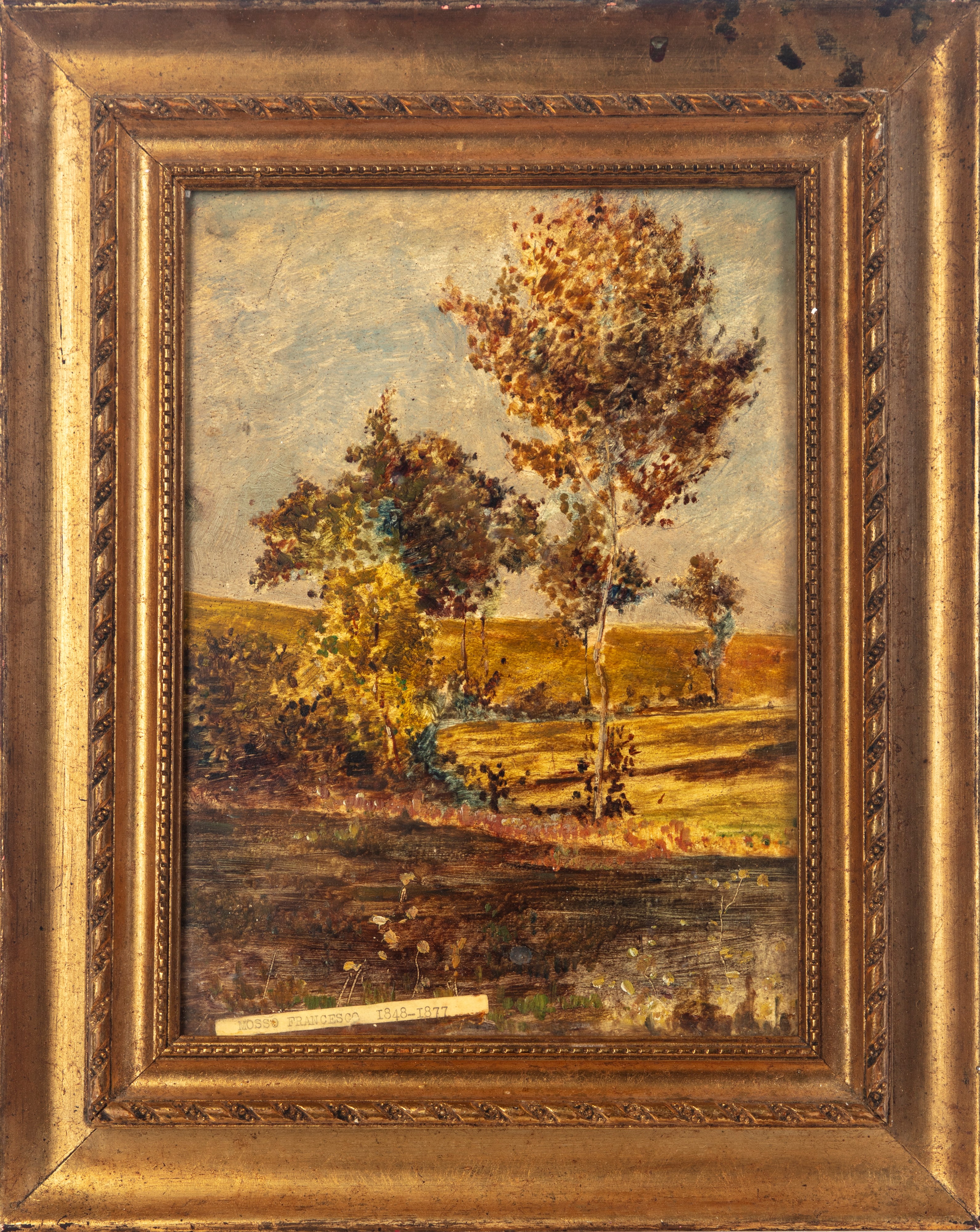 Francesco Mosso - Autunnale nelle Langhe