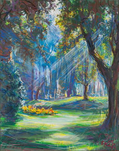 Luce nel Bosco
