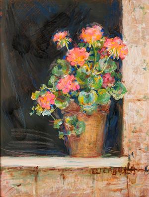 Vaso di gerani
