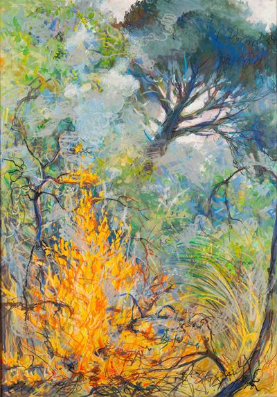 Incendio sulla Cassia