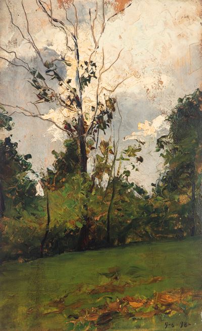Il Bosco