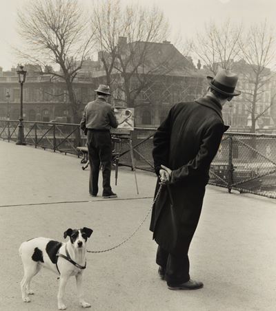 Le Fox-terrier Du Pont Des Arts, Paris