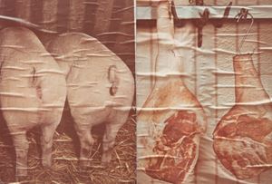 Reggio Emilia, dalla serie "Kodachrome"