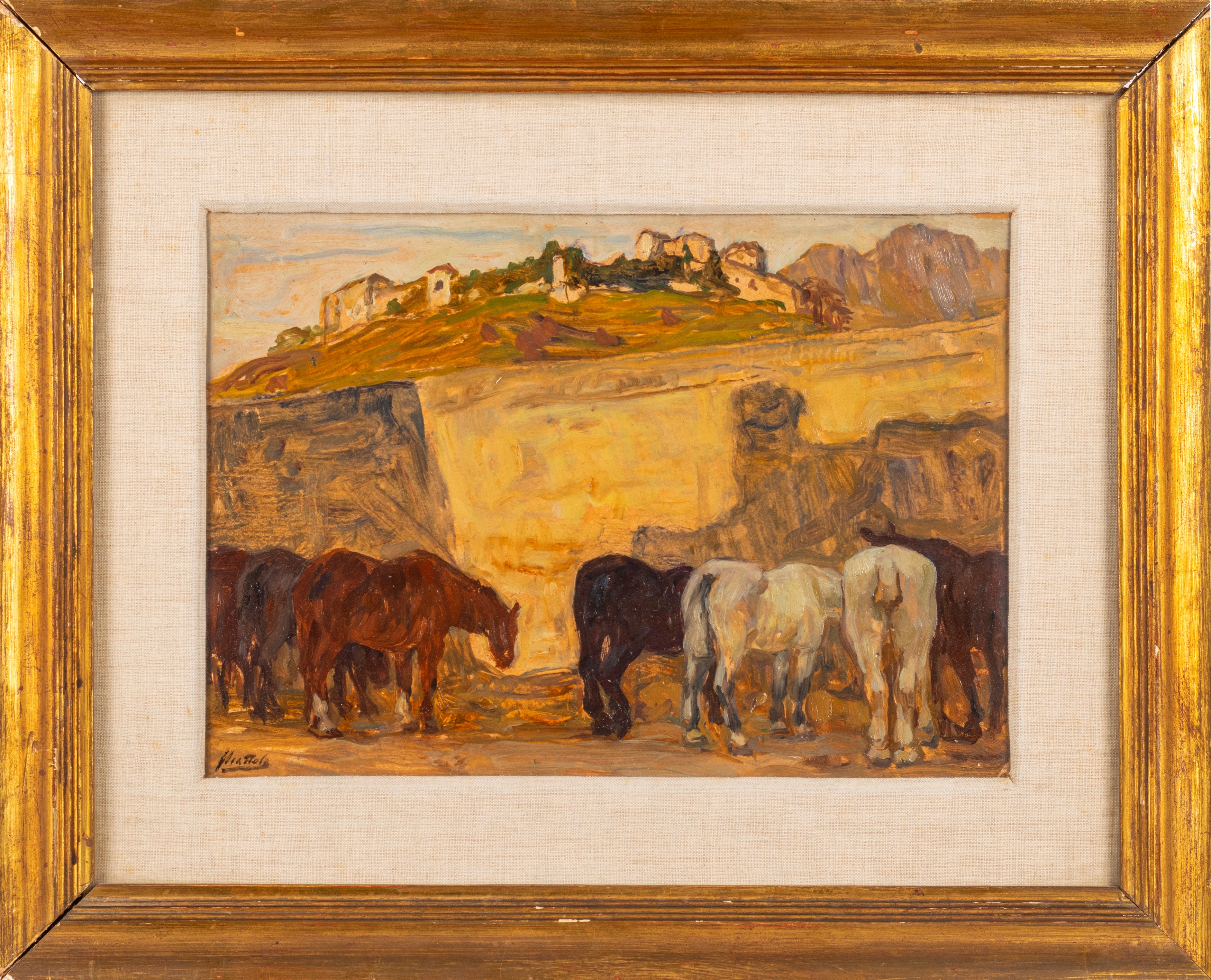 Ferruccio Scattola - Cavalli