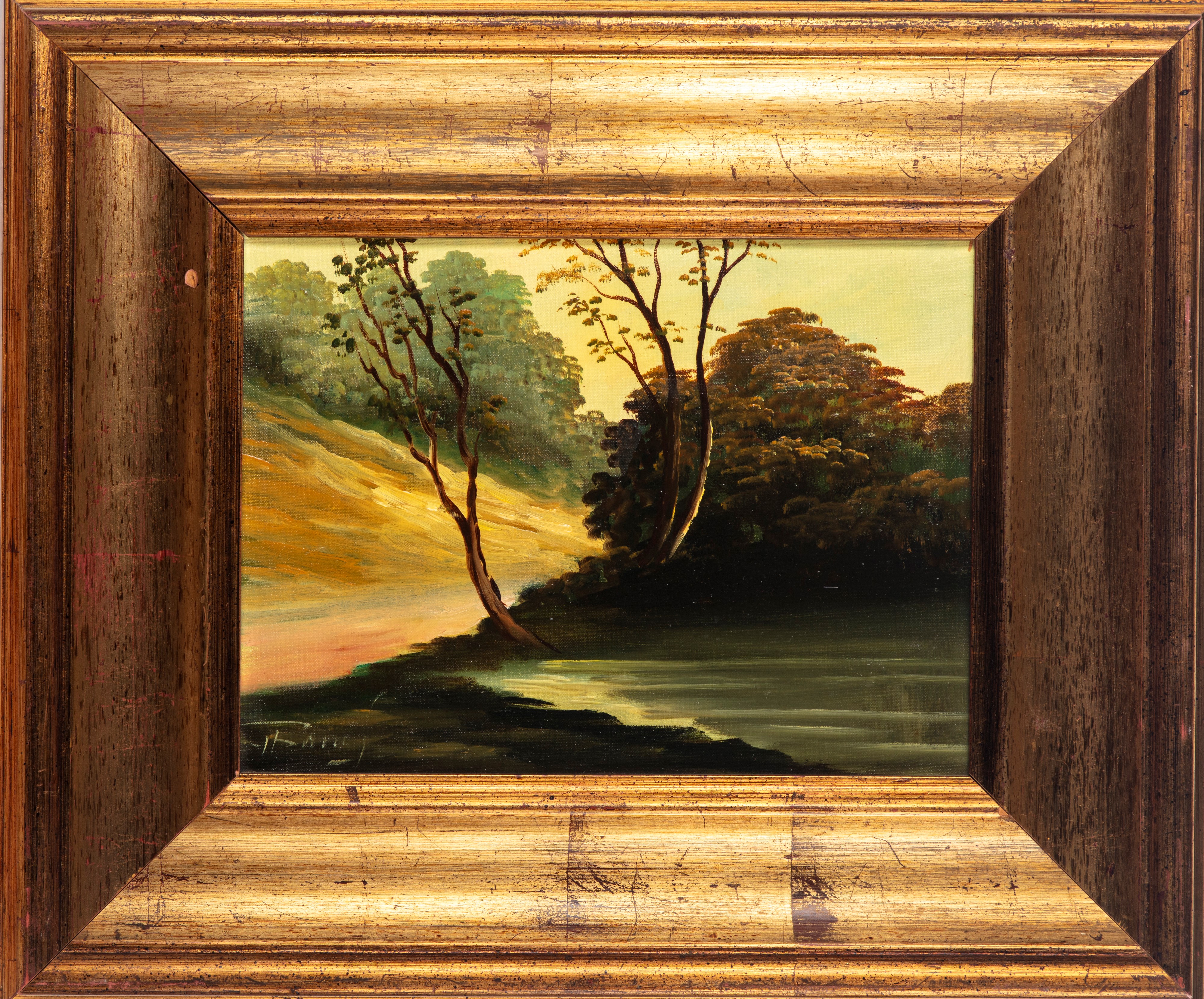 Scuola Europea, Secolo XX - Paesaggio Lacustre