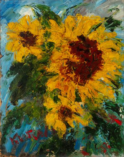 Girasoli