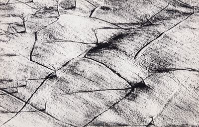Presa di Coscienza sulla Natura