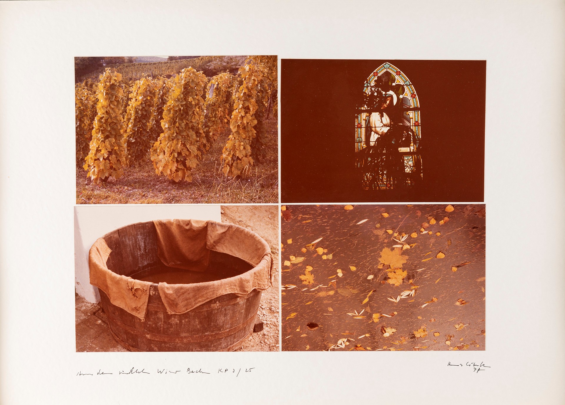 Fotografische Bildgedichte aus dem Südlichen Wiener Becken