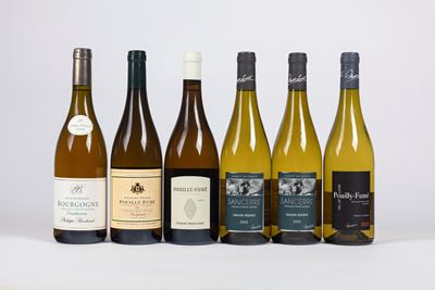 Selezione Borgogna Bianchi (bt 6)