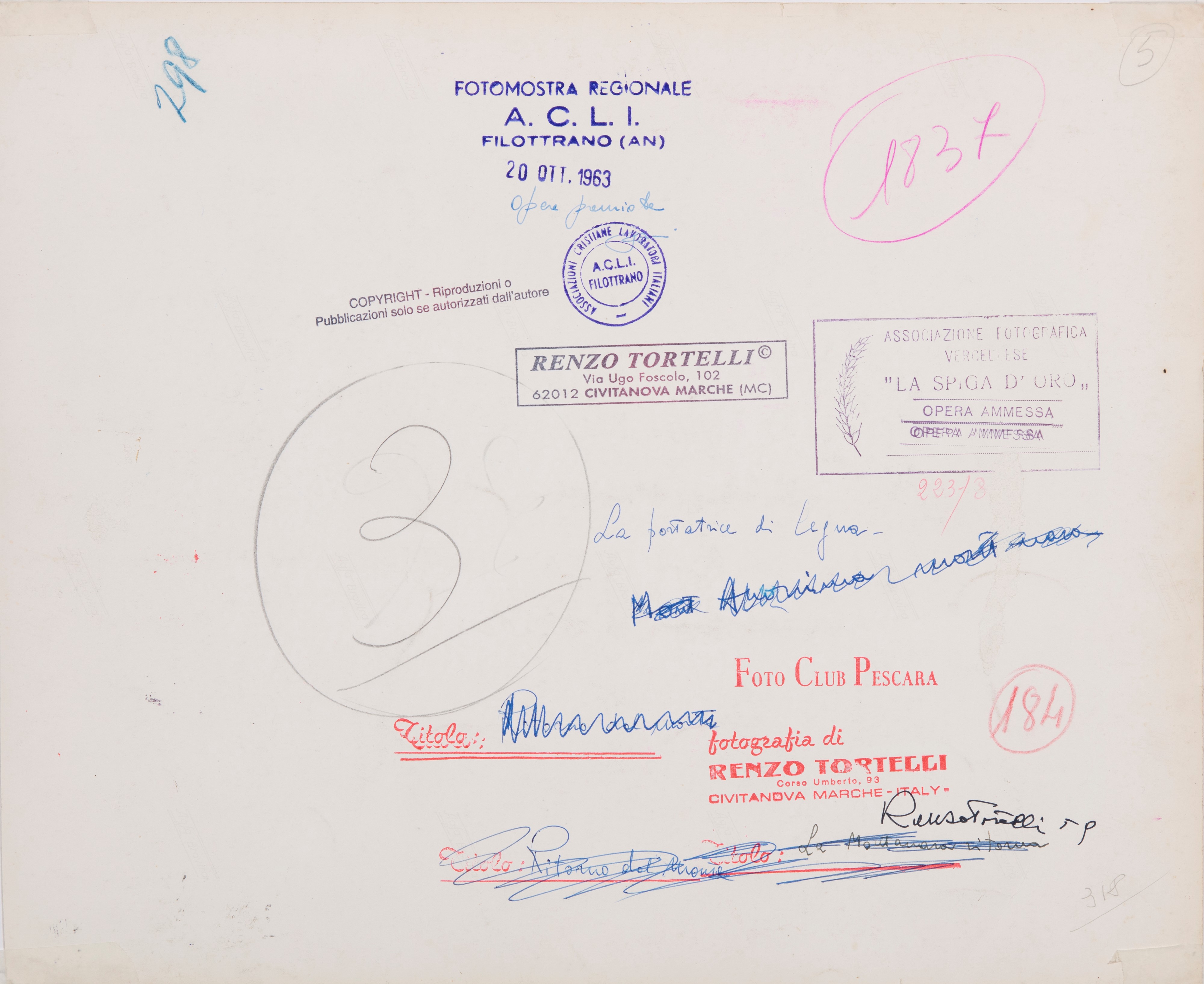 La portatrice di legno