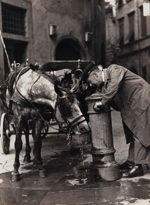 Firenze - L'abbeverata