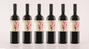 VERTICALE MONTEVETRANO (6 BT)