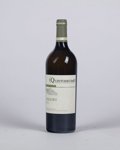 Quintodecimo Exultet (bt 1)