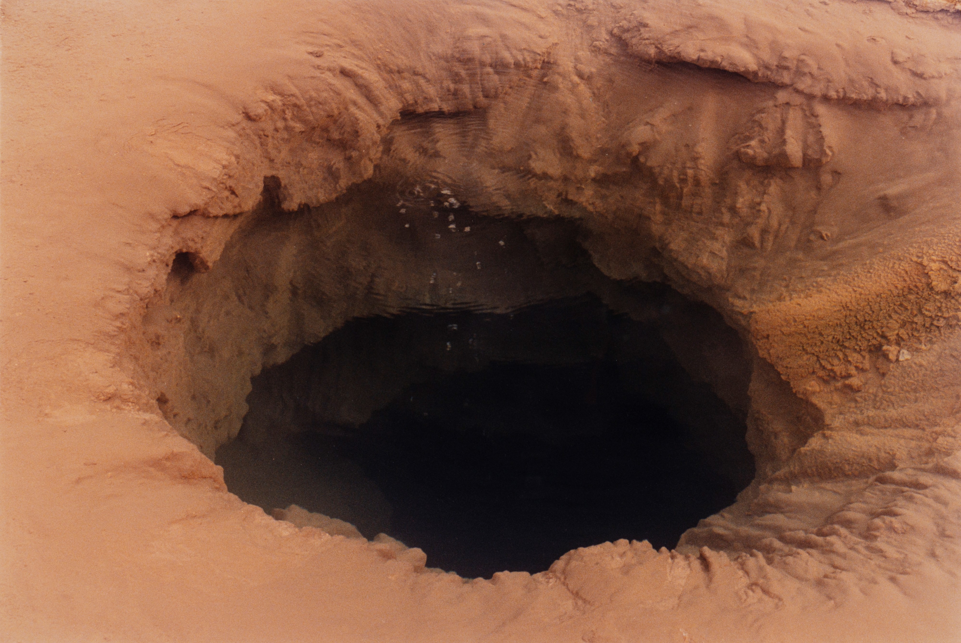 Becoming a Landscape #5