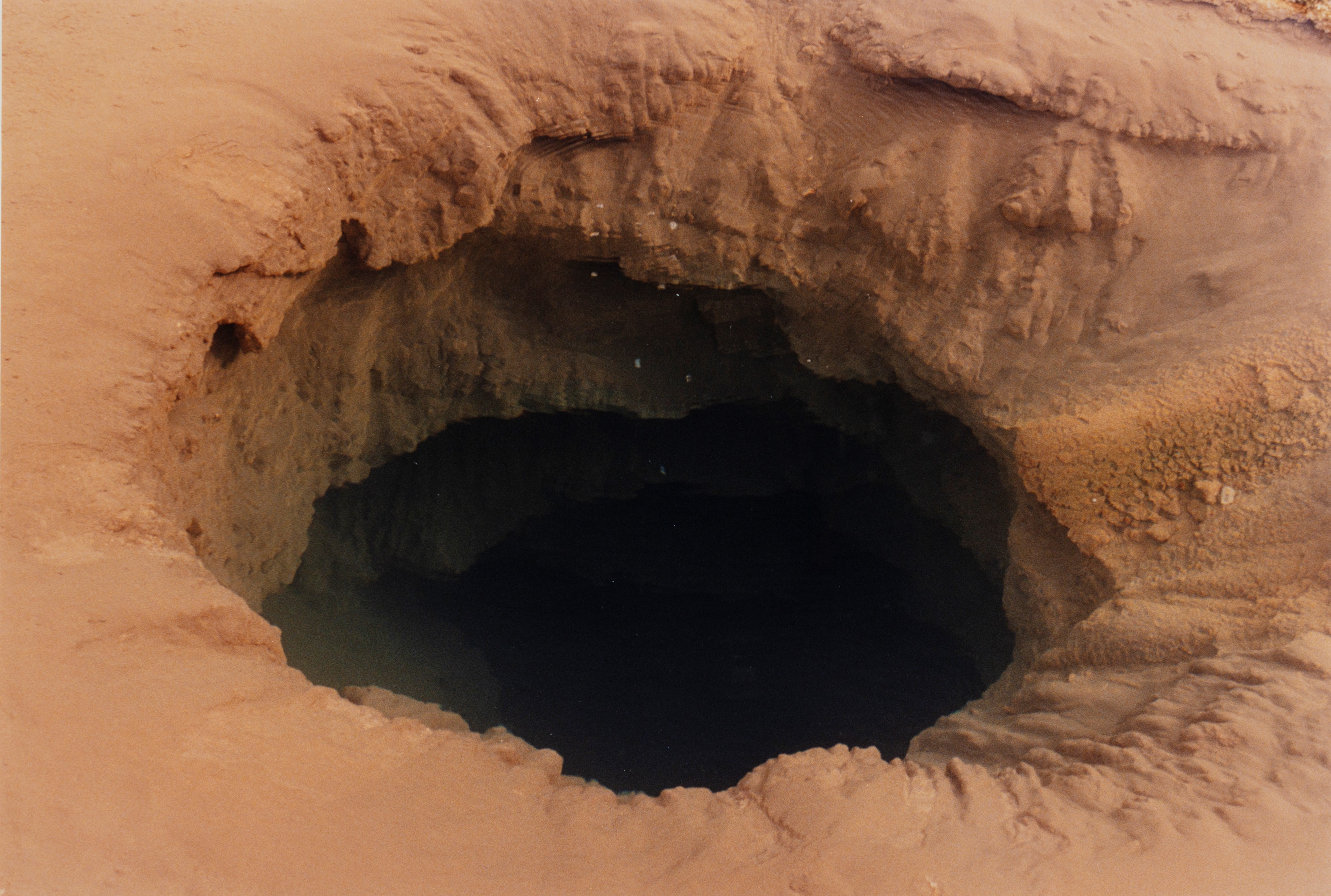 Becoming a Landscape #5