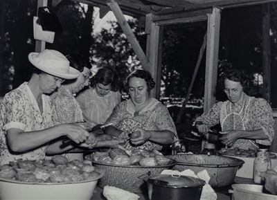 Parishoners Peeling Tomatoes For Benefit Picnic Supper At St. Thomas Church. Bardstown, Ky