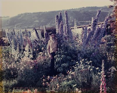 A Blind Man in His Garden, Homer, Alaska