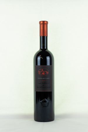 Tuscany - Tuscany - Brunello di Montalcino