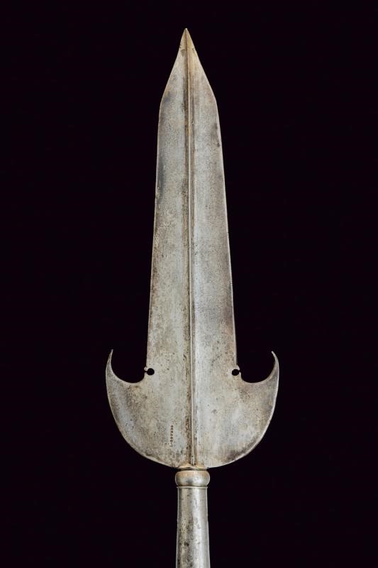 Partigina Firmata L. Govnod
