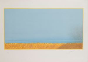 L'ombra nel campo di grano