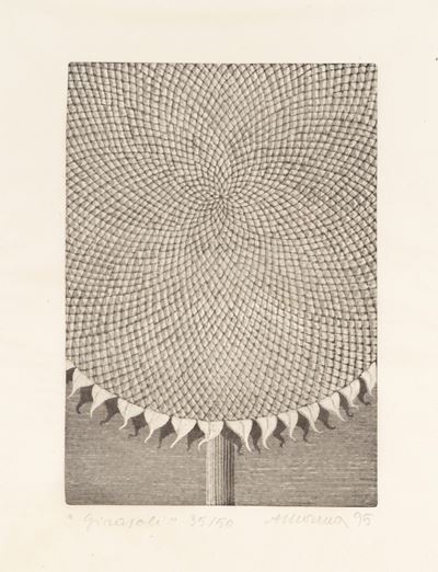 Girasole