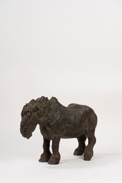 Cavallo