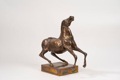 Cavallo