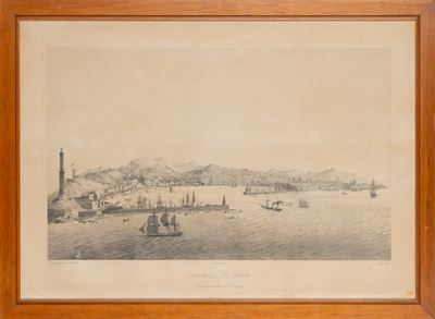 Panorama De Genes