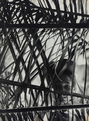 Parete di abitazione del Maranhao