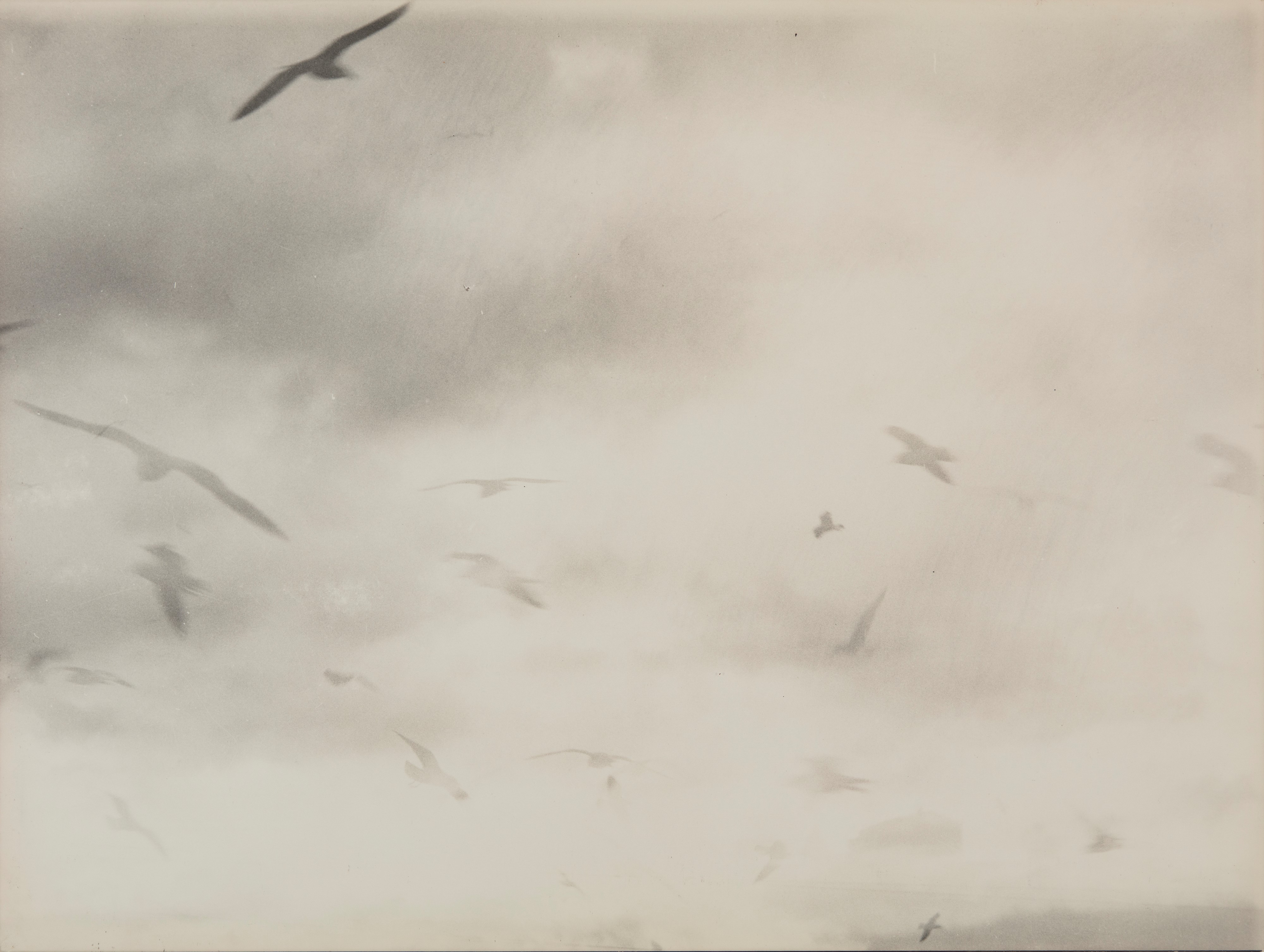 Mario Giacomelli - Untitled 1980s | Photographs: Under 1K
