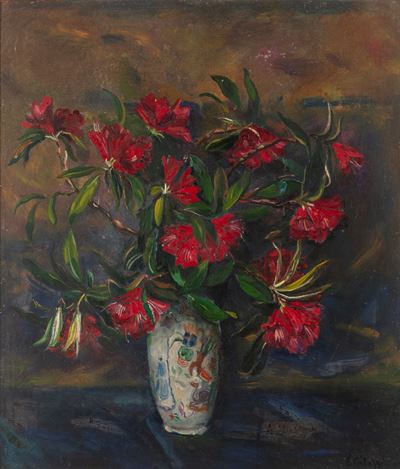 Rododendri