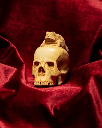 Memento Mori in Avorio Intagliato e Traforato Raffigurante Teschio Sormontato da Rana. Nord Europ...