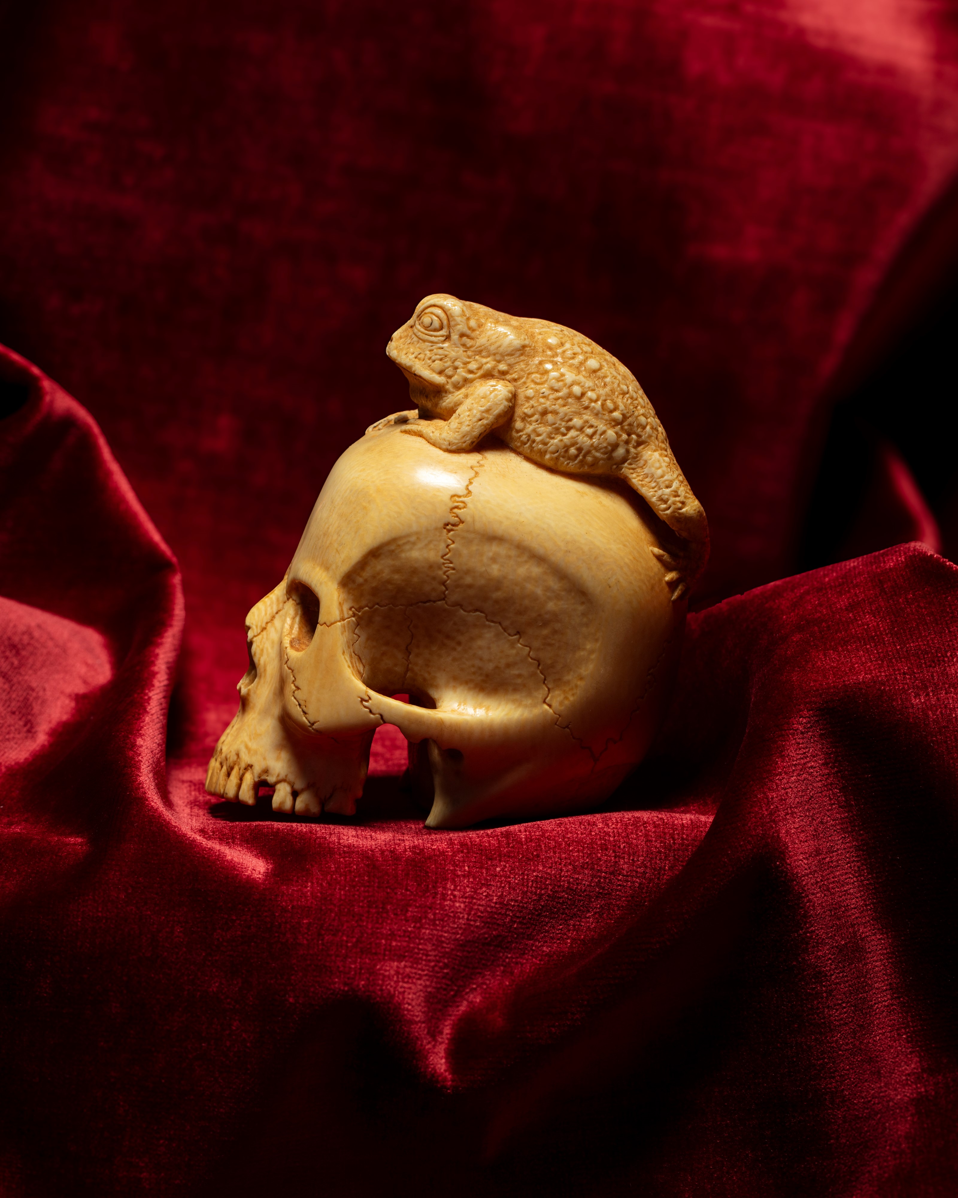 A 19th century North-European ivory skull surmounted by a frog