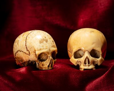Due Memento Mori Raffiguranti Teschi in Avorio Intagliato e Traforato. Nord Europa, Inizio Secolo...