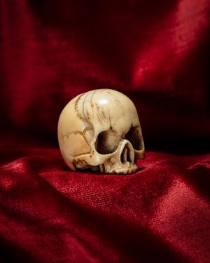 Memento mori raffigurante teschio in avorio intagliato e traforato. Nord Europa, inizio secolo XX