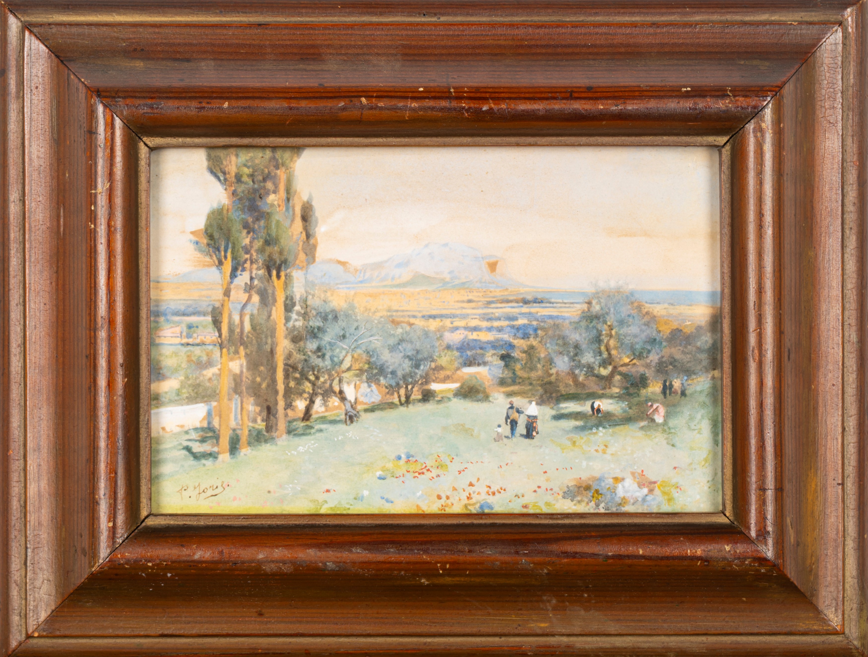 Il Circeo visto dalla piana di Terracina