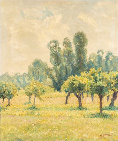 Nubi e Sole